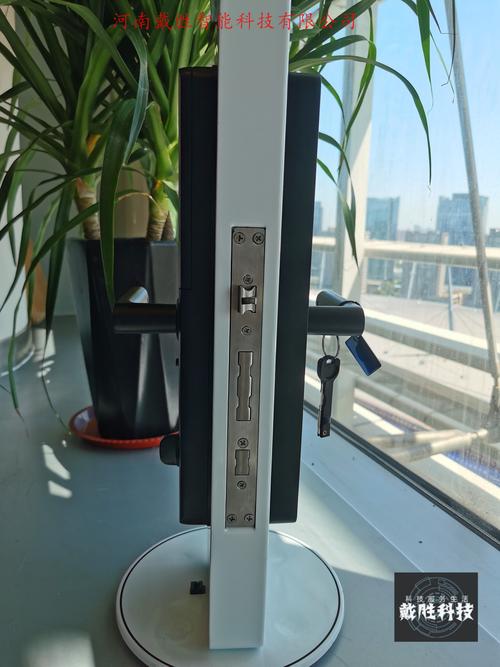 公寓门锁厂家直销-河南戴胜智能科技